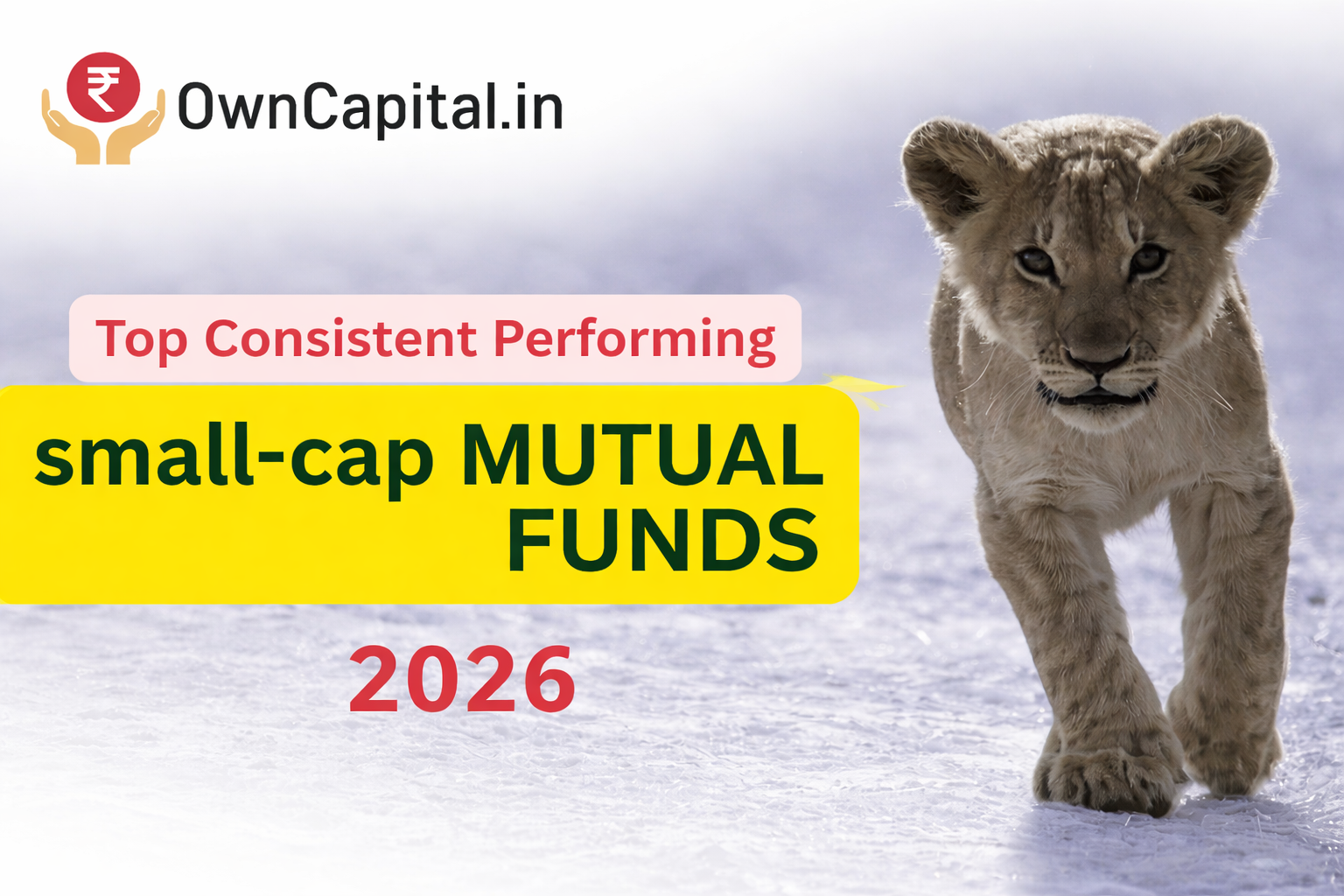 Top Consistent Performing Small-Cap Mutual Funds